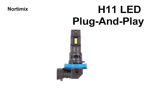 H11 PAP.png